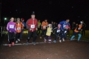 2014-11-18_Fackellauf  (13)