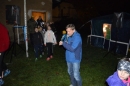 2014-11-18_Fackellauf  (3)